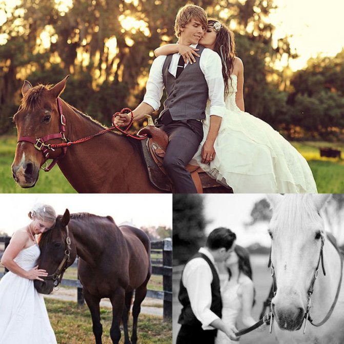 Лошади на свадебной фотосессии