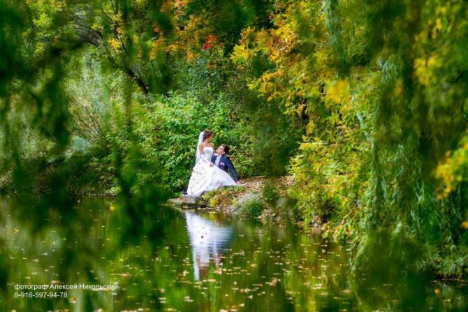 Свадебная фотосъемка Алексей Никольский фотограф на свадьбу